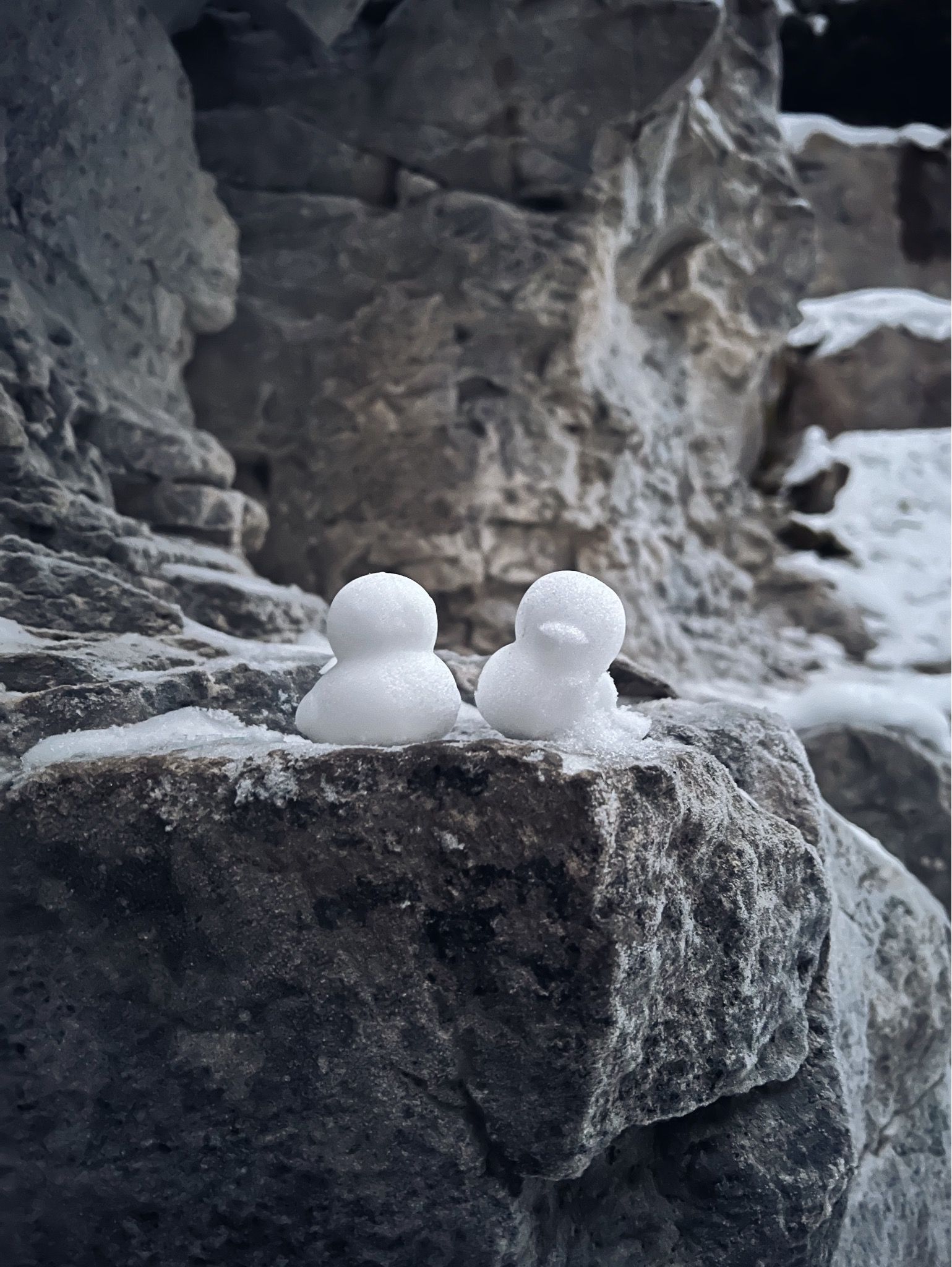 couple