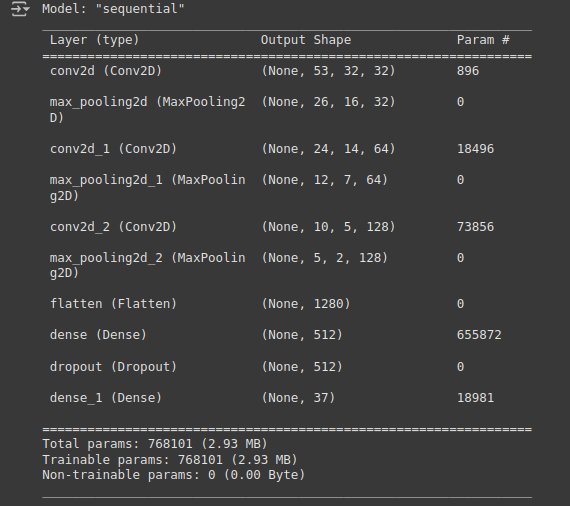 Model architecture summary